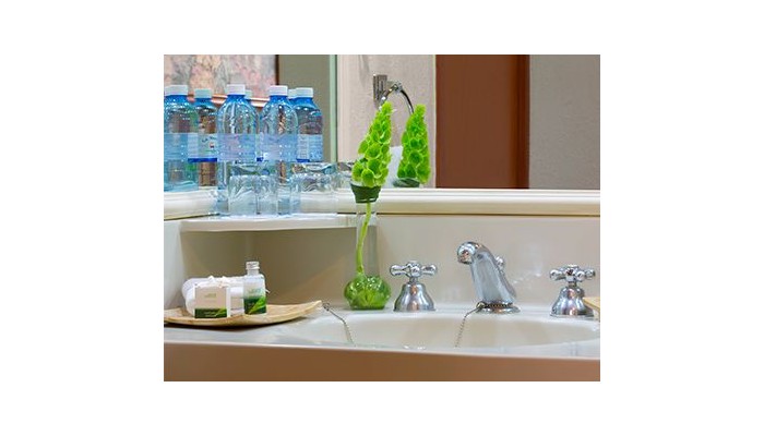 Hotel Guadalajara Plaza Expo Business Class poza 0