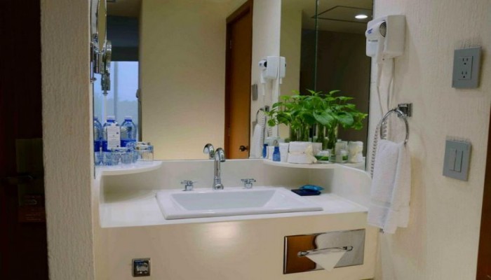 Hotel Guadalajara Plaza Expo poza 1