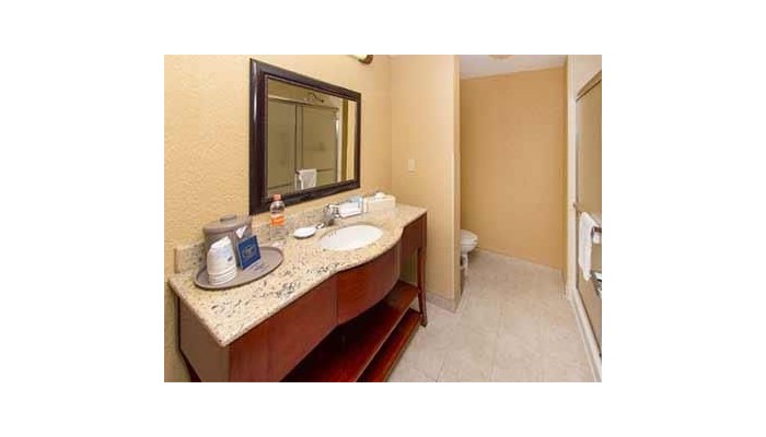 Hotel Hampton Inn Guadalajara Aeropuerto poza 8