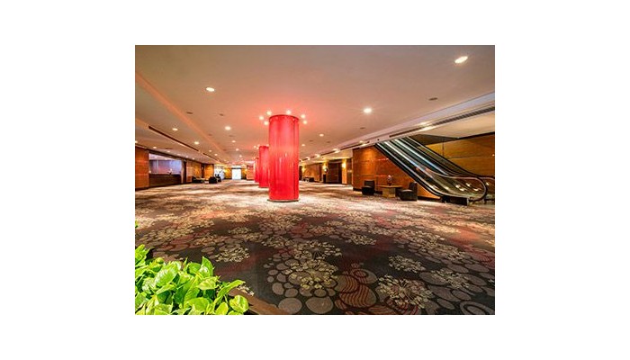 Hotel Hilton Guadalajara poza 11