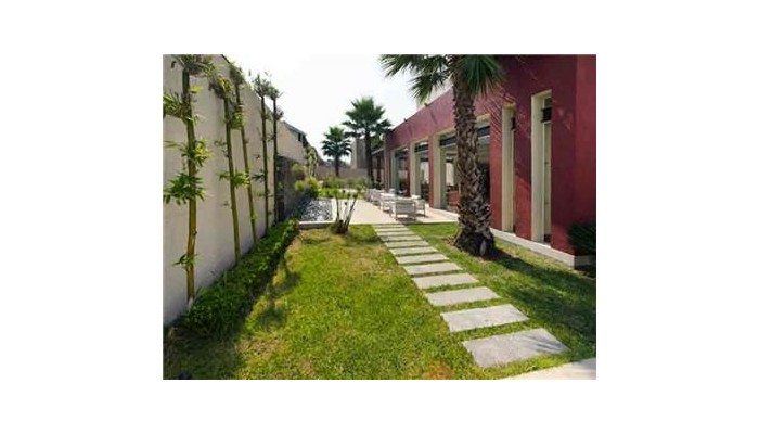 Hotel Holiday Inn Express Guadalajara Aeropuerto poza 9