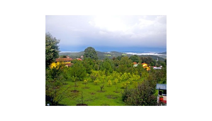 Hotel Huerta Real poza 9