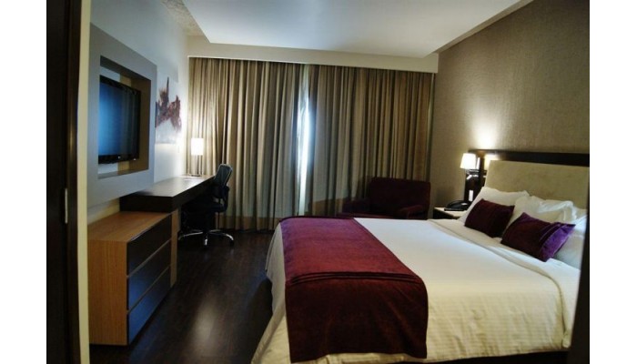 Hotel Plaza Diana poza 4