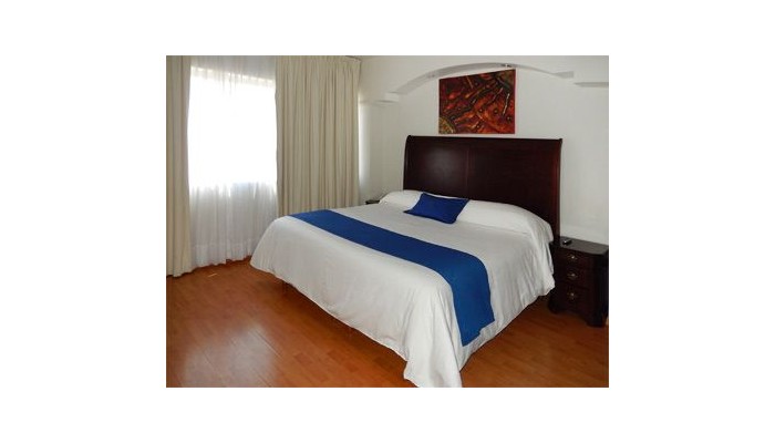 Hotel Roma Guadalajara poza 6
