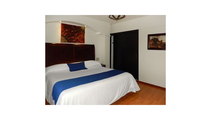 Hotel Roma Guadalajara poza 7