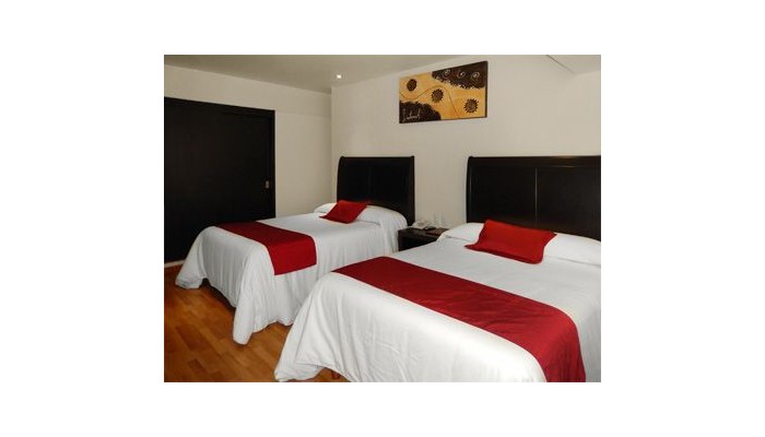 Hotel Roma Guadalajara poza 4