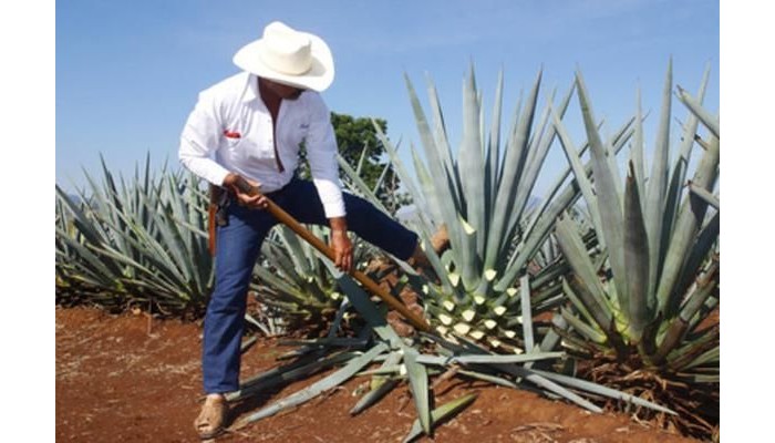 Hotel San Juan poza 9