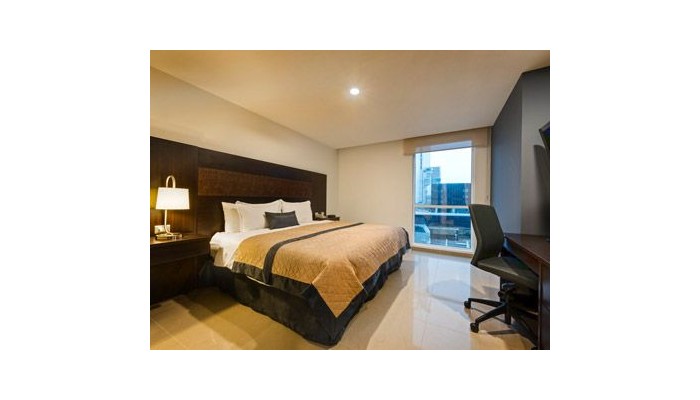 Hotel Wyndham Garden Guadalajara Acueducto poza 8