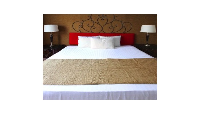 Hotel Zar Guadalajara poza 0