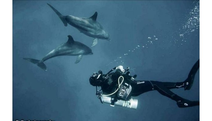 Hotel Red Monkey Beach Lodge poza 23