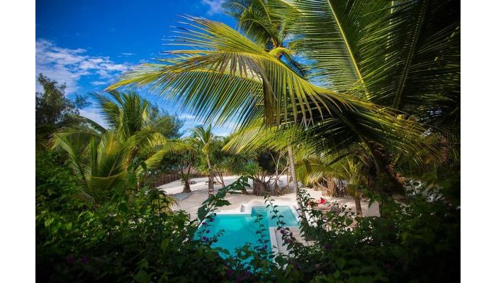 Hotel Uzuri Villa poza 0