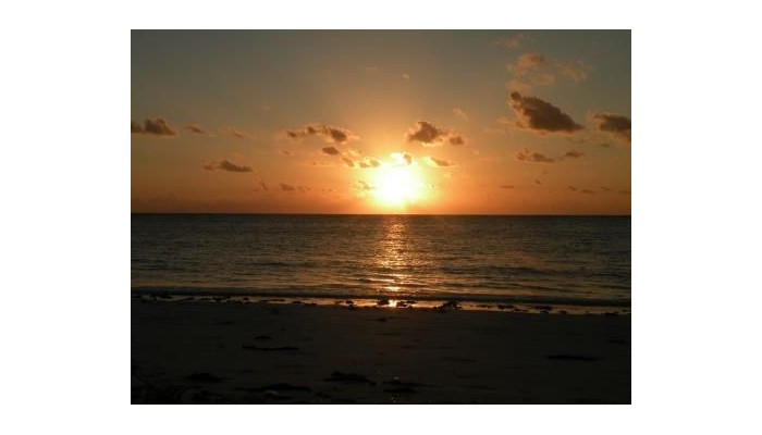 Mbuyuni Beach Village poza 34