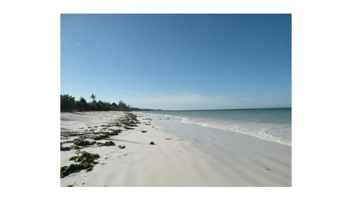 Mbuyuni Beach Village poza 31