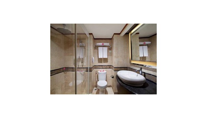 Hotel Novotel Solo poza 5