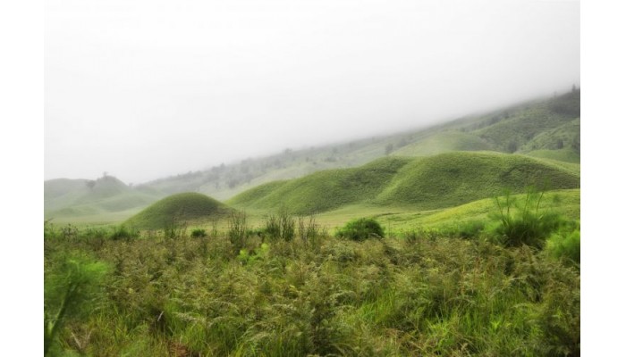 Hotel Sheraton Surabaya And Towers poza 3