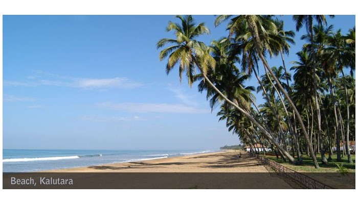 Hotel Royal Palms Beach poza 0