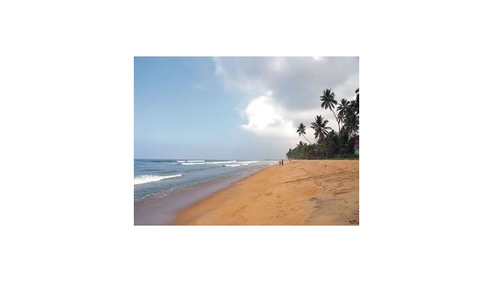 Mermaid Hotel & Club poza 6