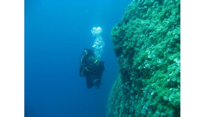 Myrties Boutique Apartments poza 8