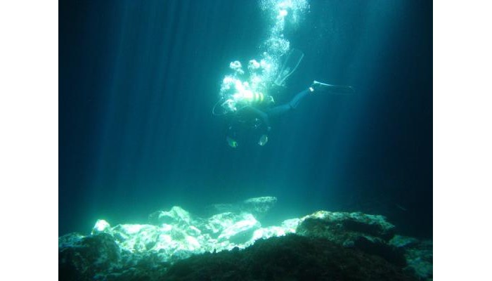 Myrties Boutique Apartments poza 5