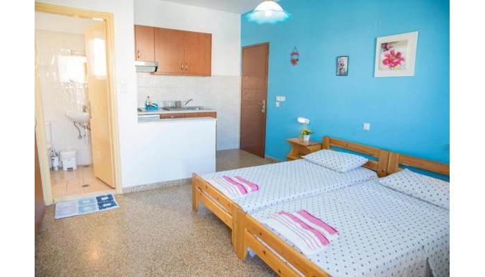 Harriet Studios poza 4