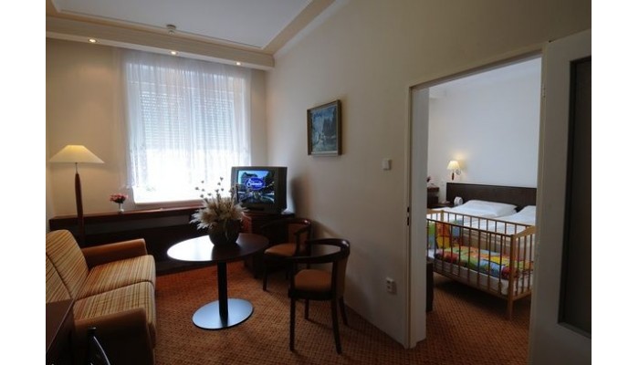 Hotel Agricola Wellness Centre poza 3