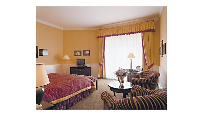 Hotel Dvorak Spa poza 2