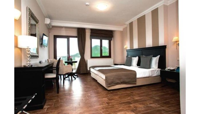 Enastron View Hotel poza 8