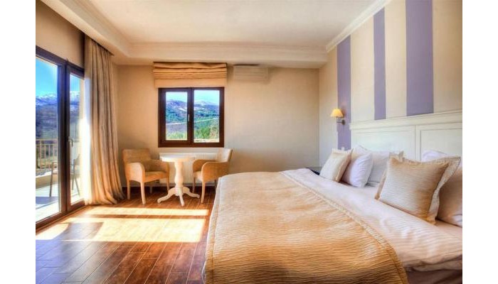 Enastron View Hotel poza 5