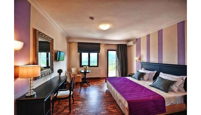 Enastron View Hotel poza 3