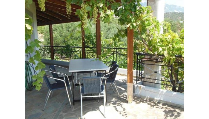 Lygies Studios poza 7