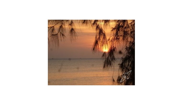 Haad Chao Phao Resort poza 0