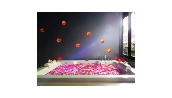 Hotel Le Meridien poza 8