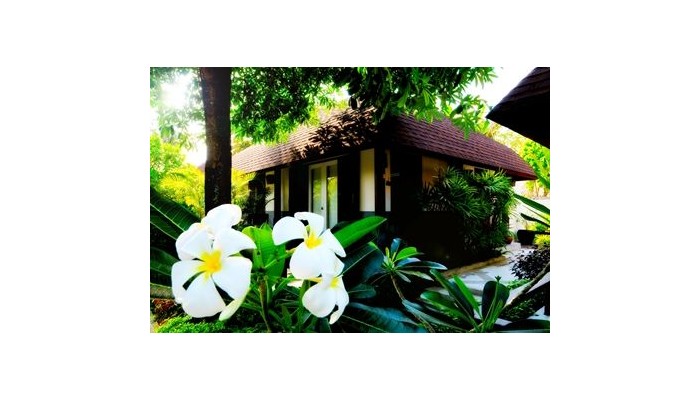 Iyara Beach Hotel And Plaza poza 11