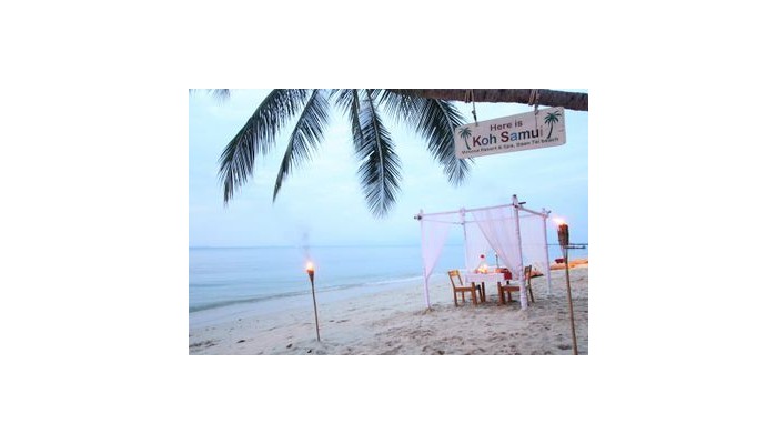 Mimosa Resort & Spa poza 9