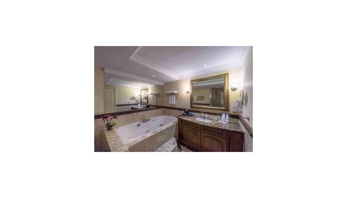 Hotel Palace Of The Golden Horses Mines Kuala Lumpur poza 3