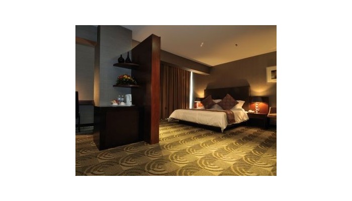 Hotel Starpoints poza 3