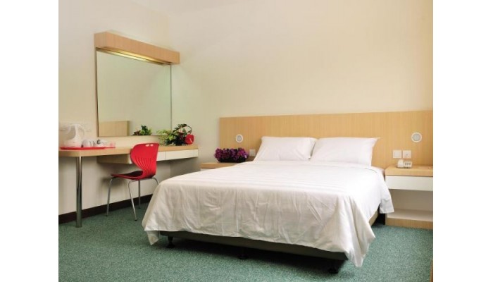 Phoenix Hotel poza 9