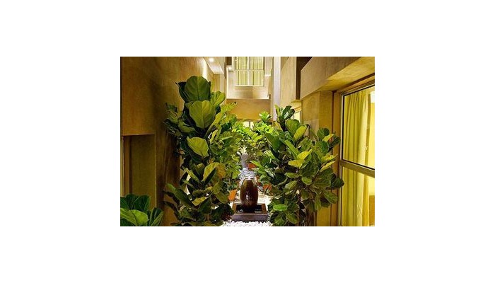 Sky Hotel Bukit Bintang poza 2