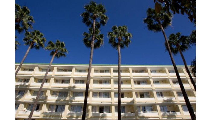 Aparthotel Playa Del Sol poza 6