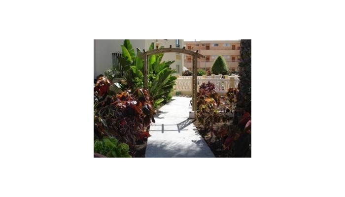 Hotel Los Ficus poza 0