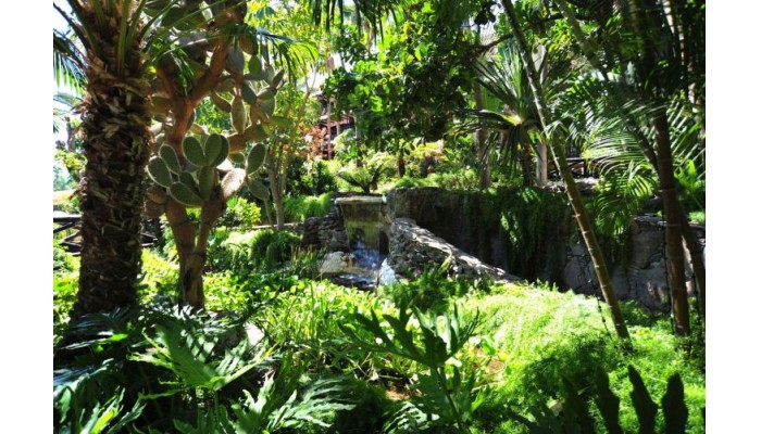 Hotel Parque Tropical poza 1