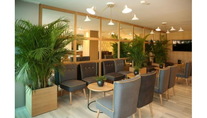 Hotel Santa Monica Suites poza 10