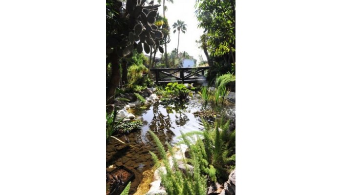 Parque Tropical Hotel poza 6