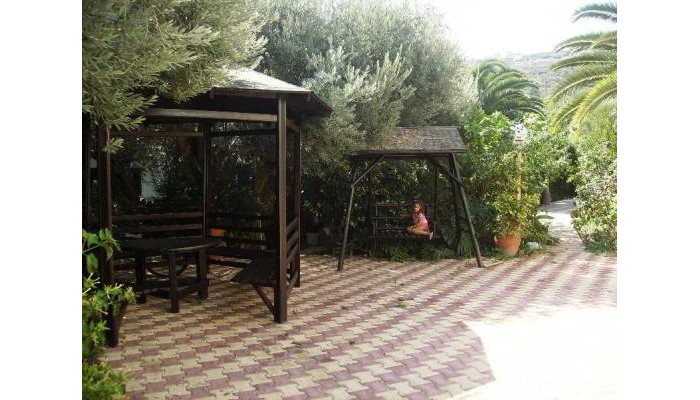 Theotokis Studios poza 4