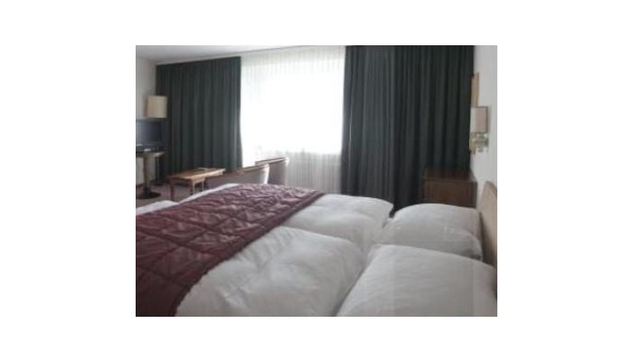 Badehotel Regina Terme poza 3