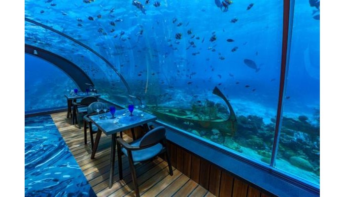 Hurawalhi Island Resort poza 14