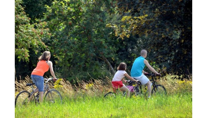 Hotel Best Western L'amandier poza 5