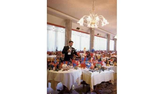 Brioni Mare Hotel poza 2