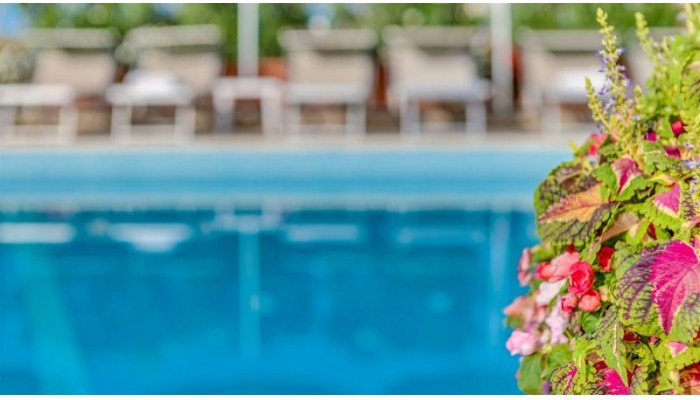 Hotel Delle Mimose poza 10