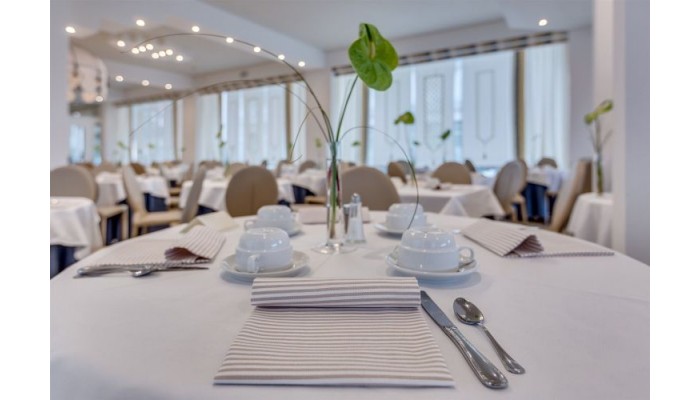 Hotel Delle Mimose poza 7